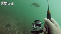 GUY GOES FISHING WITH A ROD UNDERWATER AND LANDS ONE TWO FEET AWAY,