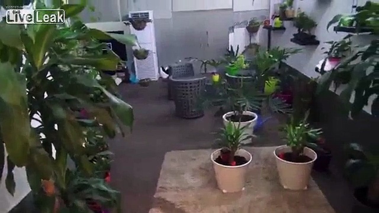 Kuwaiti police  says weapons seized in Kuwait came from Iran.