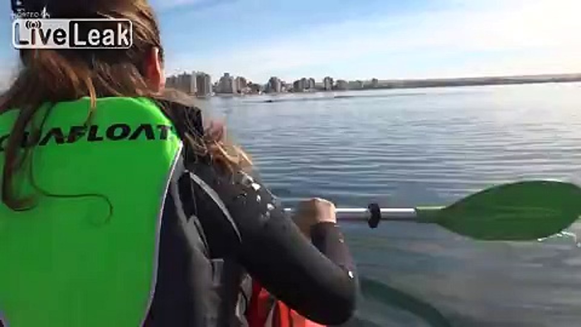 Whale lift kayak