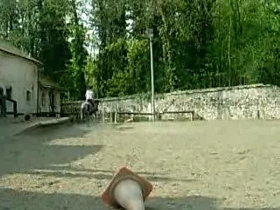 DSCN6710