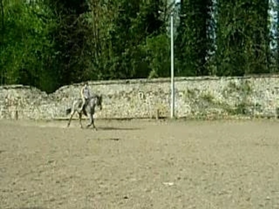 DSCN6711