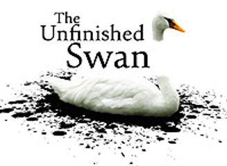 The Unfinished Swan, Vídeo Entrevista
