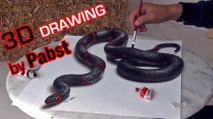 3D Drawing of a Lifelike Snake | 3D Painting Optical Illusion!