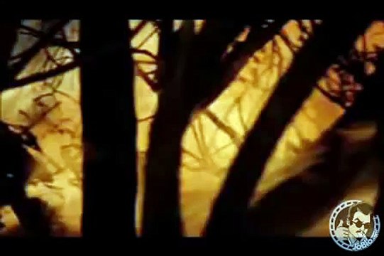 The Daisy Chain Trailer