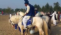 Pakistani horse very fast Amazing