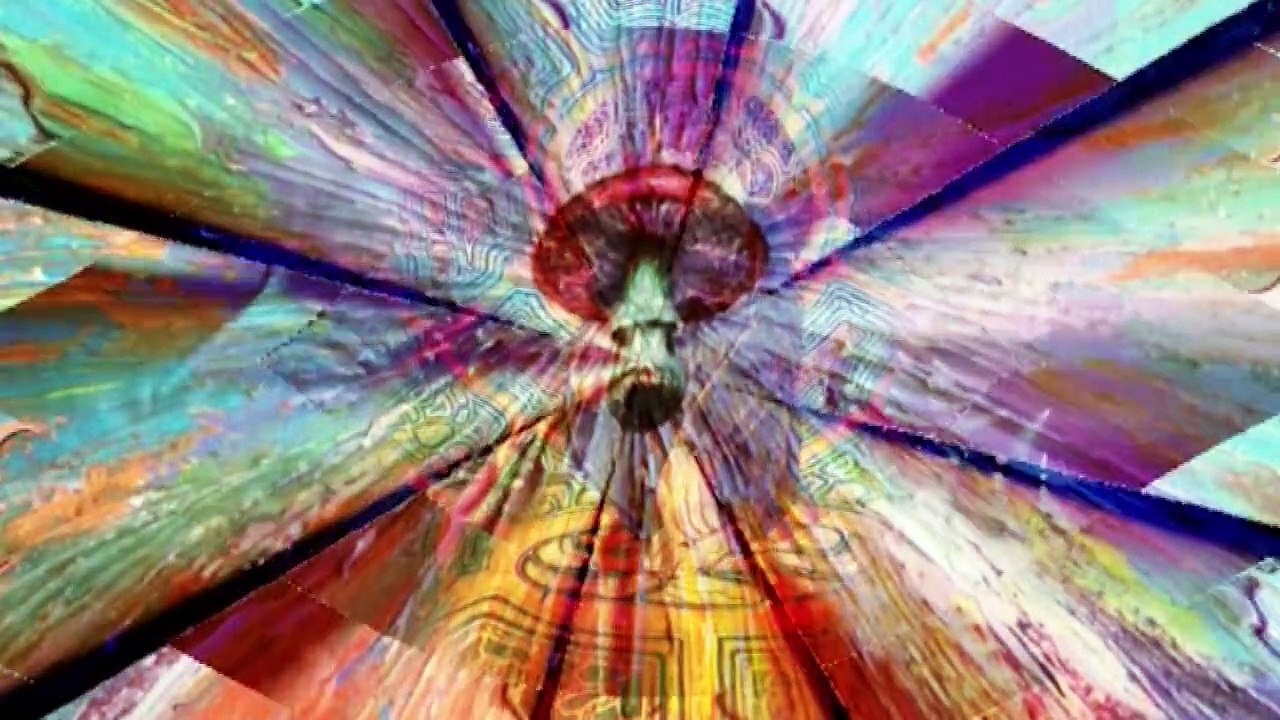 mushroom evolution toward the millenium 1