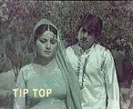 Best of Noor Jahan , JA TARY WALA Remixed Punjabi Mujra
