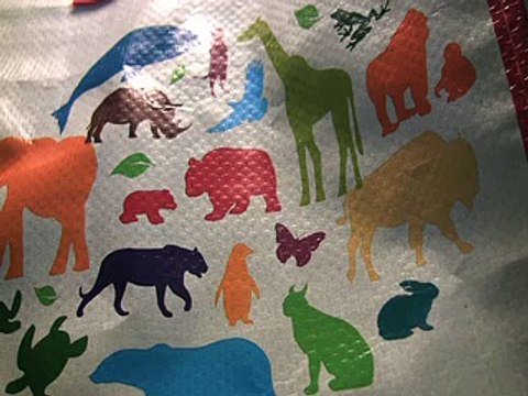 Excerpts on Book Radio from Charlotte Laws' Book, Rebel in High Heels