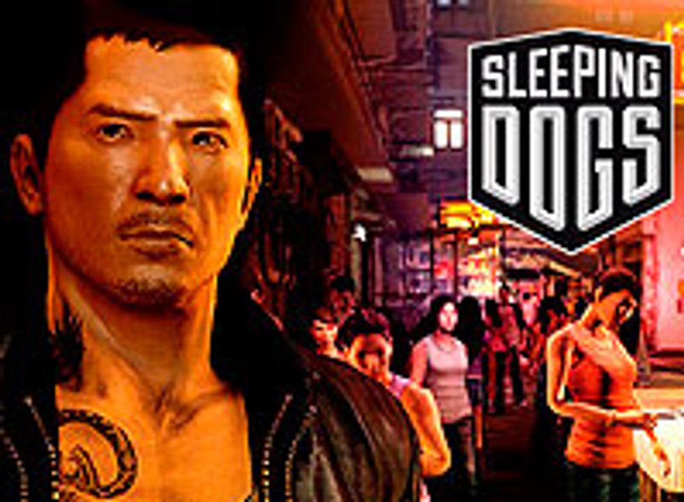 Sleeping Dogs, ANV Edition