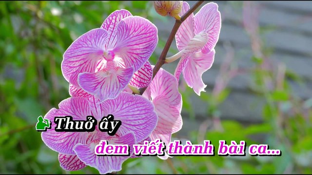 [ Karaoke Full HD ] Liên Khúc Chuyện Hoa Sim 1- Tuấn Vũ - Băng Tâm - Ngọc Huyền [ Phối Chuẩn ] DEMO
