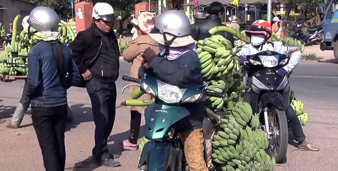 Highways Put Remote Vietnamese Communities on Road Out of Poverty: ADB [Full Episode]