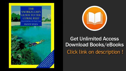 The Snorkeller's Guide to the Coral Reef -  eBook