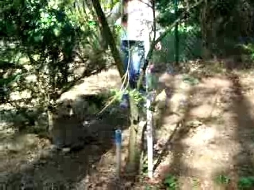 Die tierfreundlichste Leine der Welt ;-)