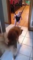 Bebeğe Nasıl Zıplayacağını Öğreten Akıllı Köpek