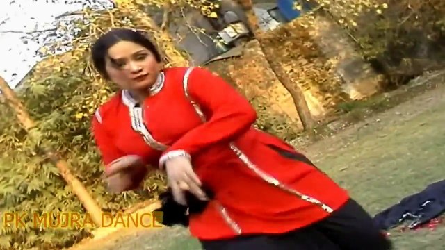 Gujra Main Gujri - Pakistani B Grade Mujra No.101 - PK MUJRA DANCE