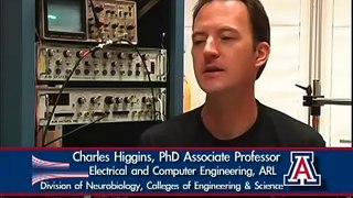Chuck Higgins: The Brain-Machine Interface