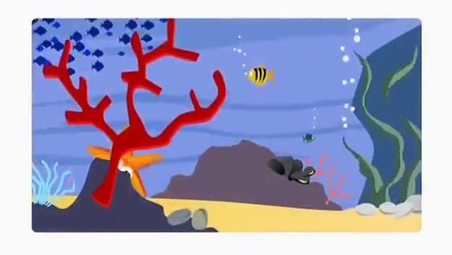 Детский Зоопарк Морская звезда Развивающий мультфильм Kids Zoo Cartoon Starfish Developing