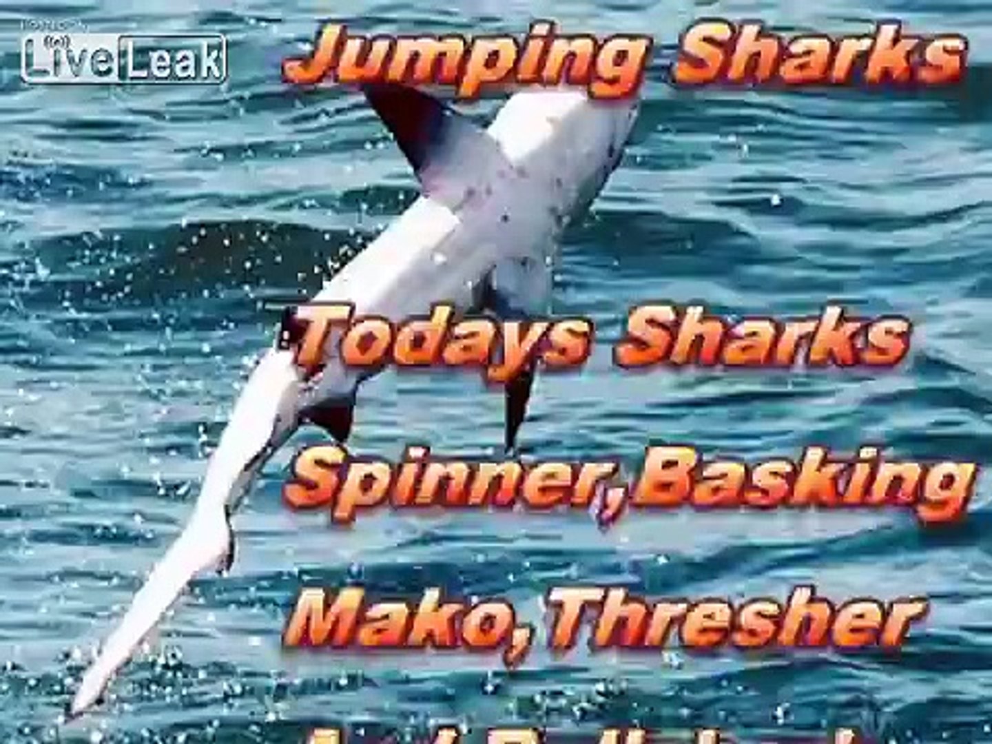 Jumping sharks