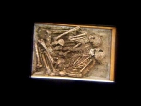 Museo de las ciencias