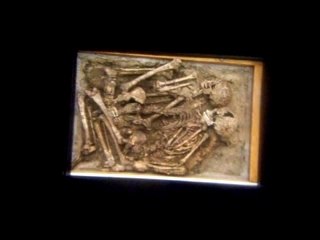 Museo de las ciencias