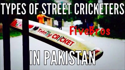 Discover the Different Types of Street Cricketers in Pakistan 🏏
