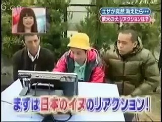 Funny Japanese Show Dog Prank