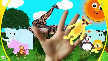 Lion Finger Family Nursery Rhymes Animal Finger Family Song Lion Finger Family Song