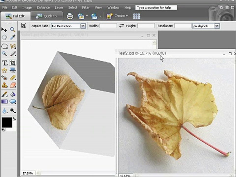 Photoshop (3D Image Editing)