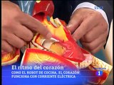 Ritmos cardíacos y Electrocardiograma. Dr Julián Pérez Villacastín. 3 de 4