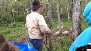 Joel Salatin and Polyface Farm Part3 Video #44