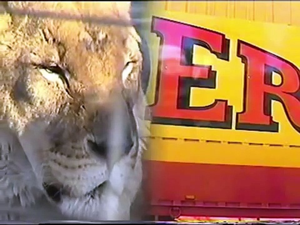 cirque pinder la menagerie