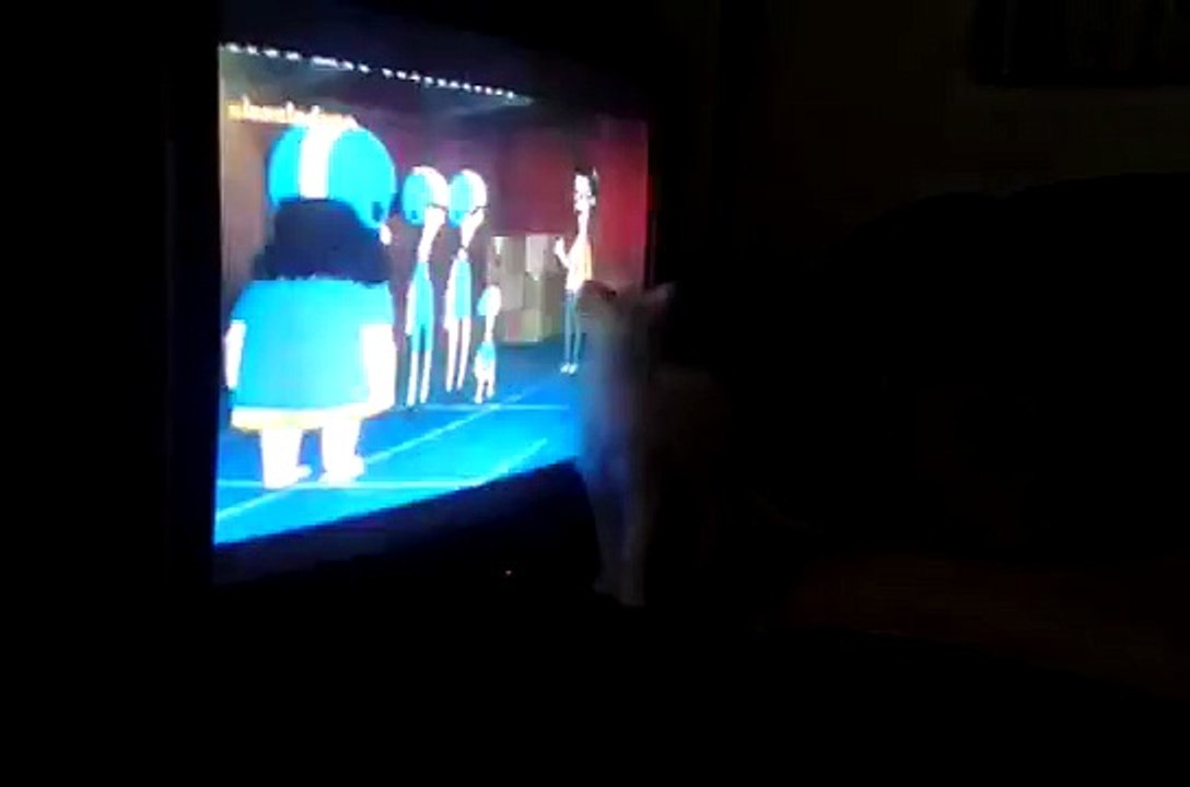 Cat watching tv
