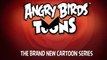 Angry Birds Toons, La serie animada