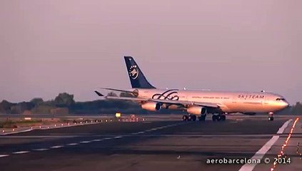 Near-disaster captured on video as pilot aborts landing to avoid accident