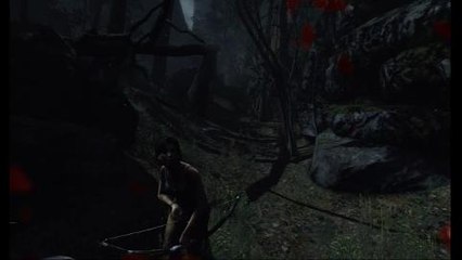 Tomb Raider, Vídeo Guía: Templo de la montaña - Reúne recursos