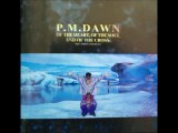 P.M. Dawn-Reality Used To Be A Friend Of Mine