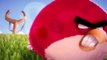 Angry Birds 3D Animation Test
