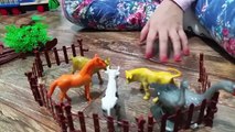 Kids farm   Surprise animals for the farm Toys for children  Funny video | animals videos and funny