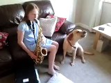 Dog Does Not Like the Saxophone