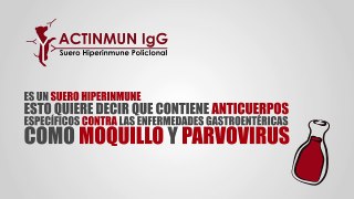 ACTINMUN SUERO HIPERINMUNE CONTRA PARVOVIRUS Y MOQUILLO