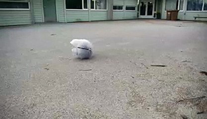 MorpHex The Incredible Hexapod Robot