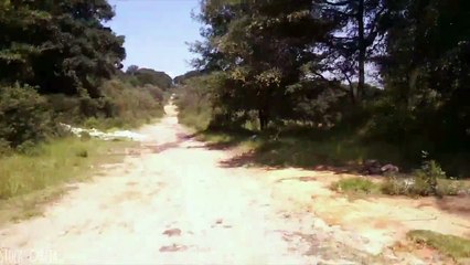 MLP In Real Life / Twilight Sparkle