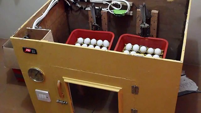 Egg Incubator Automatic Turner Design.MP4