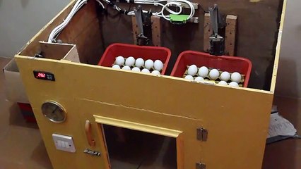 Egg Incubator Automatic Turner Design.MP4