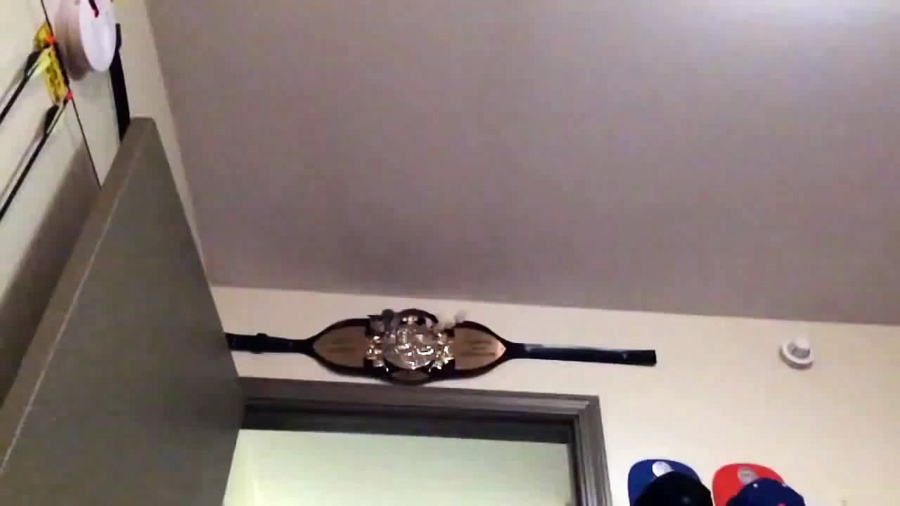 Meet the sugar glider
