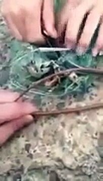 Trapped Snake Thanks It’s Rescuers With A Surprise! Video Must Watch