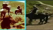 Butch Cassidy und The Sundance Kid Reportage über Butch Cassidy Teil 3