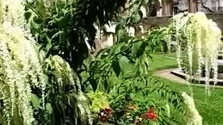Antigua Guatemala video overview