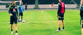 Zlatan Ibrahimovic scores a brilliant goal at Sweden training 2015