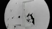 Rival Romeos Oswald The Lucky Rabbit cartoon